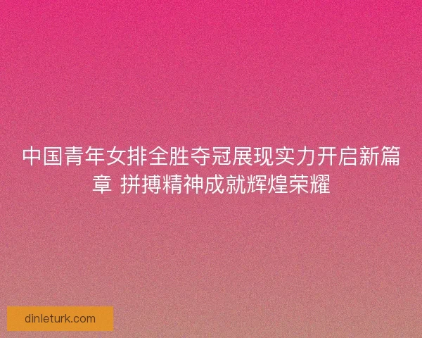 中国青年女排全胜夺冠展现实力开启新篇章 拼搏精神成就辉煌荣耀