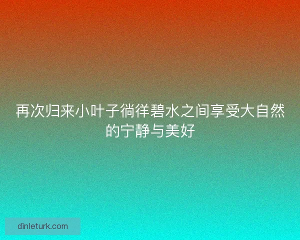 再次归来小叶子徜徉碧水之间享受大自然的宁静与美好